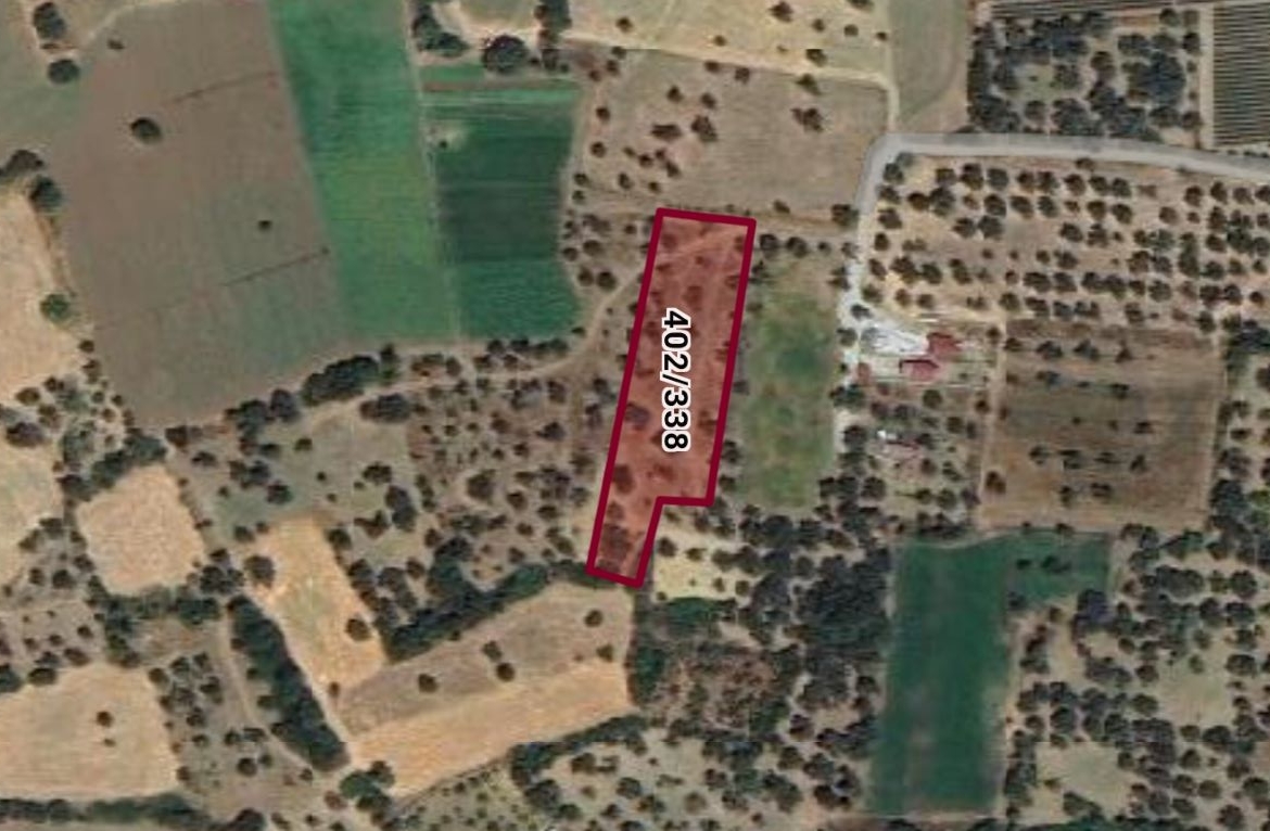 Kızlan Mevkiinde Yolu Olan 4.032 m² Zeytinlik — fotoğraf 2
